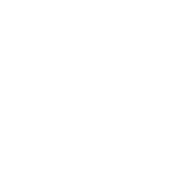 HigH RolleR